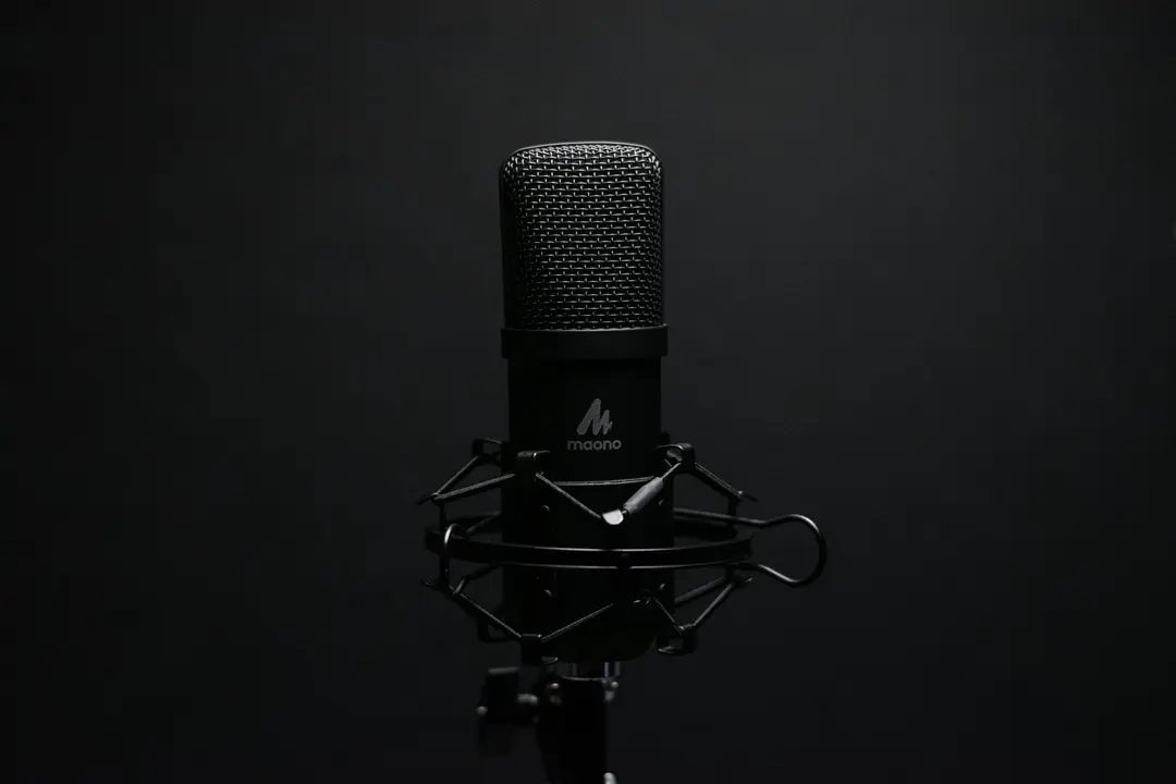 What Determines the Price of a Dubbing Voice-over?